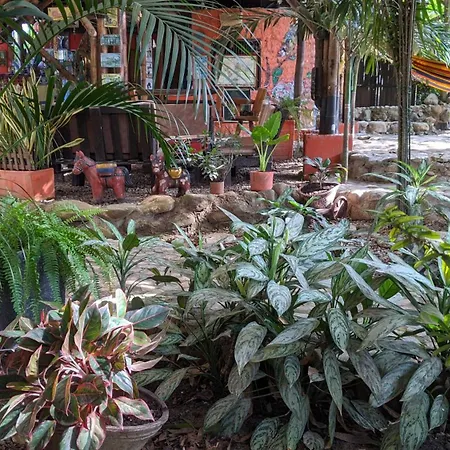 La Natura Hostel & Pool-3